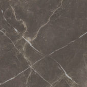 Royal Stoneworks 24X24 Regal Brown Marble Polished | Gemini Tile and Marble