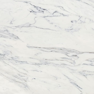 Royal Stoneworks 24X24 Regal White Vein Honed