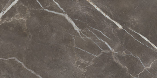 Royal Stoneworks 24X48 Regal Brown Marble Vintage | Gemini Tile and Marble
