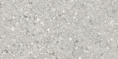 Royal Stoneworks 24X48 Regal Fossil Vein Honed