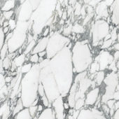 Royal Stoneworks 36X36 Italian Arabescato Honed | Gemini Tile and Marble