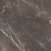 Royal Stoneworks 36X36 Regal Brown Marble Honed | Gemini Tile and Marble