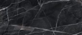 Royal Stoneworks 48X110 Regal Black Vein Honed | Gemini Tile and Marble