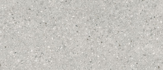 Royal Stoneworks 48X110 Regal Fossil Vein Honed | Gemini Tile and Marble