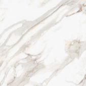 Royal Stoneworks 48X48 Calacatta Royale Honed | Gemini Tile and Marble