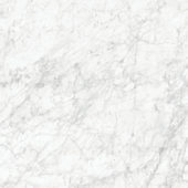 Royal Stoneworks 48X48 Old World Bianco Polished | Gemini Tile and Marble