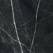 Royal Stoneworks 48X48 Regal Black Vein Polished | Gemini Tile and Marble