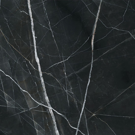 Royal Stoneworks 48X48 Regal Black Vein Polished | Gemini Tile and Marble