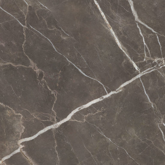 Royal Stoneworks 48X48 Regal Brown Marble Honed | Gemini Tile and Marble