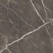 Royal Stoneworks 48X48 Regal Brown Marble Polished | Gemini Tile and Marble