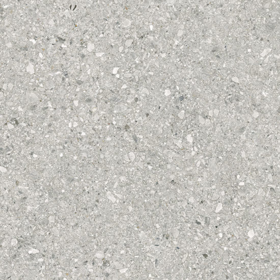 Royal Stoneworks 48X48 Regal Fossil Vein Honed | Gemini Tile and Marble