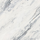 Royal Stoneworks 48X48 Regal White Vein Polished | Gemini Tile and Marble