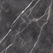 Royal Stoneworks 48X48 Tuscan Forge Vein Honed | Gemini Tile and Marble