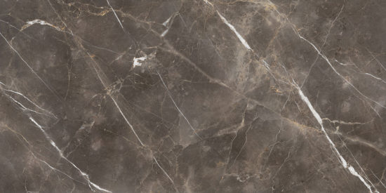 Royal Stoneworks 63X126 Regal Brown Marble Honed | Gemini Tile and Marble