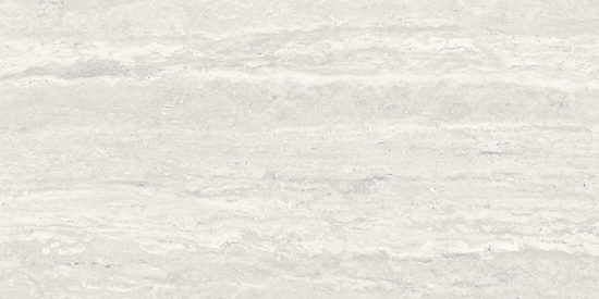 Saturnia 24x48 Roman Matte | Gemini Tile and Marble