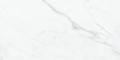 Altezza 12x24 Carrara | Gemini Tile and Marble