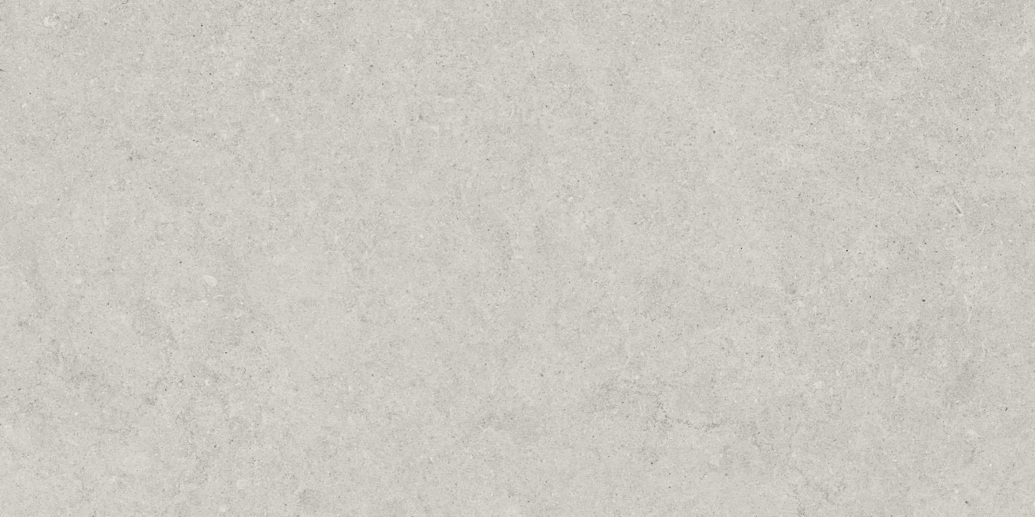 Lithoform 12X24 Crosscut Vista | Gemini Tile and Marble