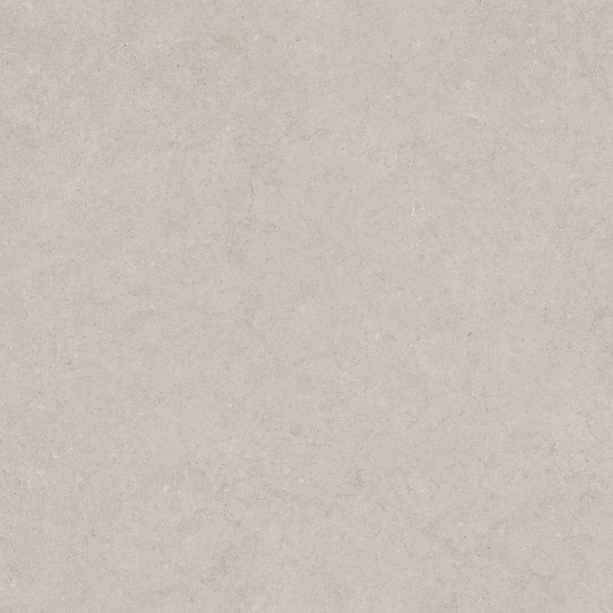 Lithoform 24X24 Crosscut Coast | Gemini Tile and Marble