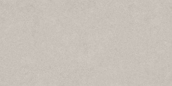 Lithoform 24X48 Crosscut Coast | Gemini Tile and Marble