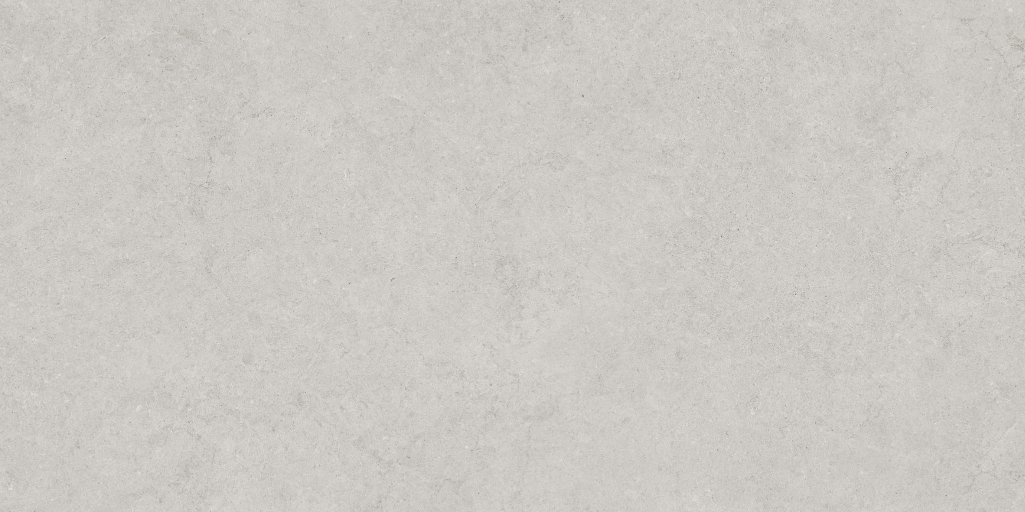 Lithoform 24X48 Crosscut Vista | Gemini Tile and Marble