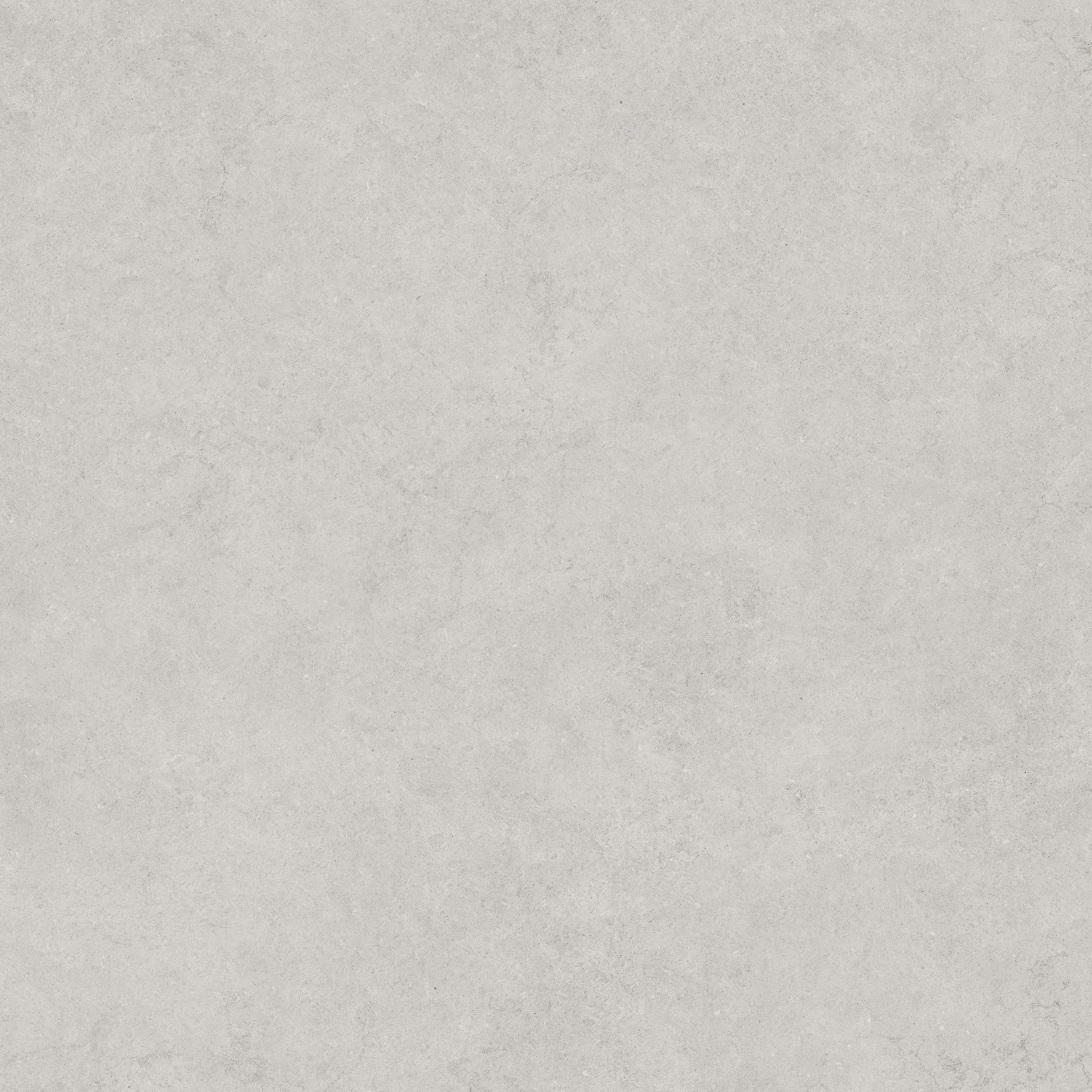 Lithoform 48X48 Crosscut Vista | Gemini Tile and Marble