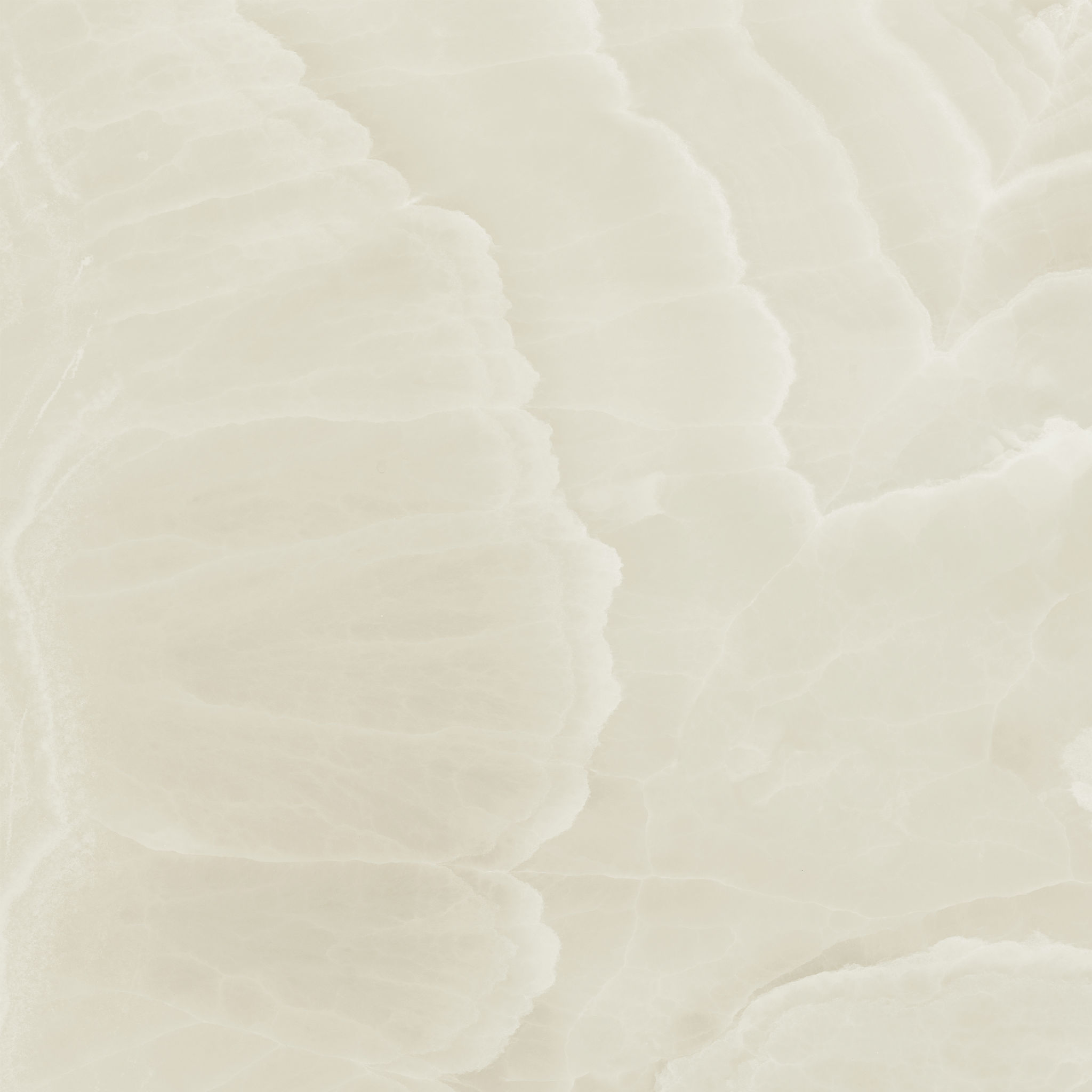 Lustra 36x36 Onyx Crema Honed | Gemini Tile and Marble