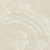 Lustra 48x48 Onyx Crema Honed | Gemini Tile and Marble