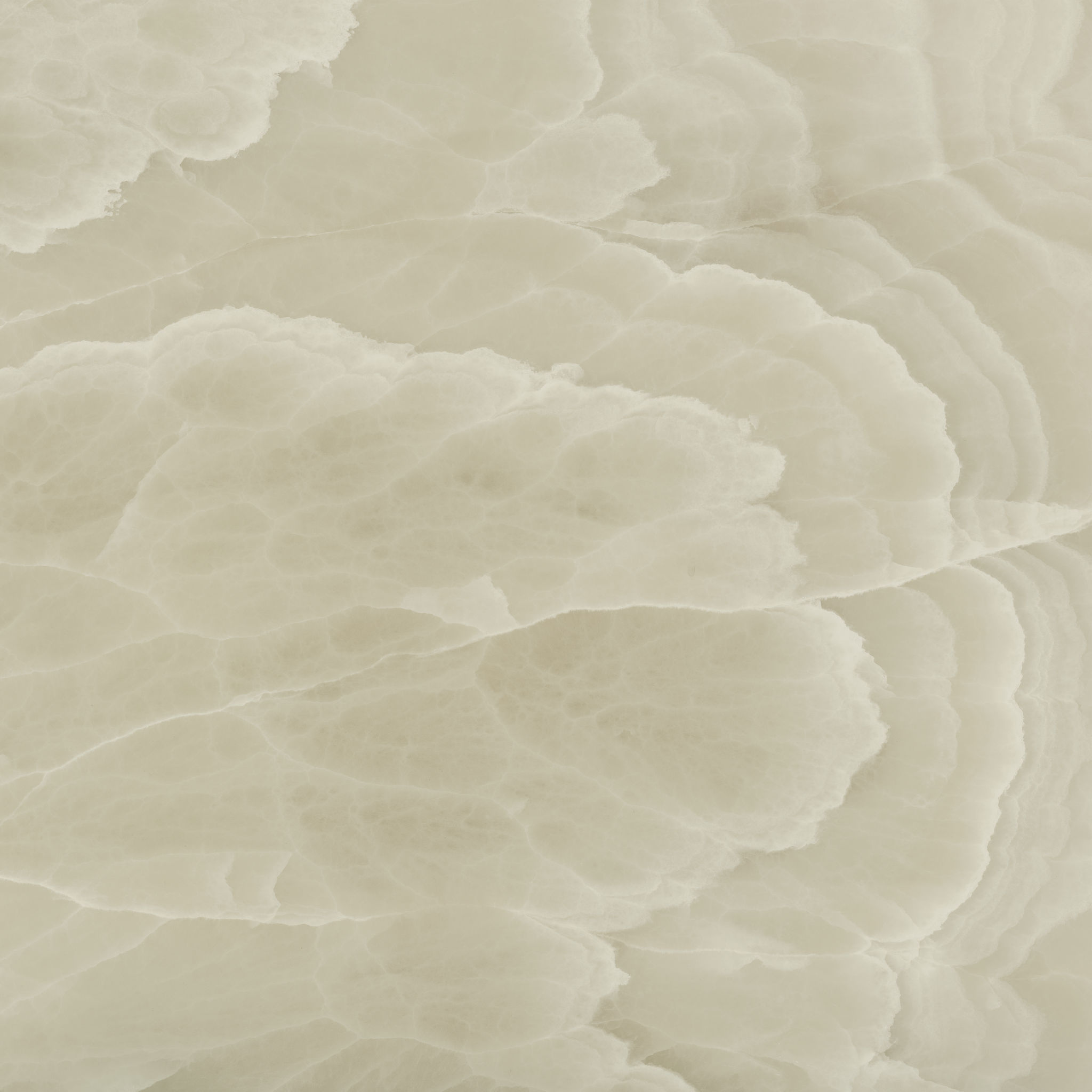 Lustra 48x48 Onyx Hazel Honed | Gemini Tile and Marble