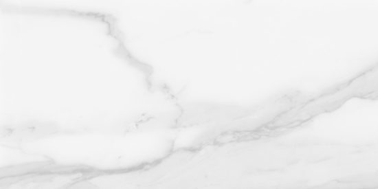 Plata 12x24 Statuario Brina Matte