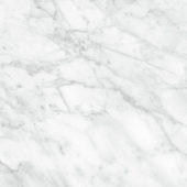 Plata 24x24 Carrara Abisso Matte | Gemini Tile and Marble