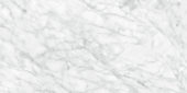 Plata 24x48 Carrara Abisso Polished | Gemini Tile and Marble