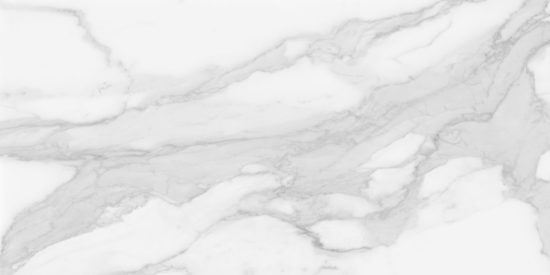 Plata 24x48 Statuario Brina Matte
