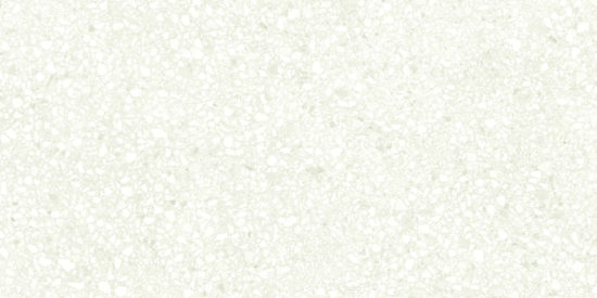 Station 12x24 Ivory